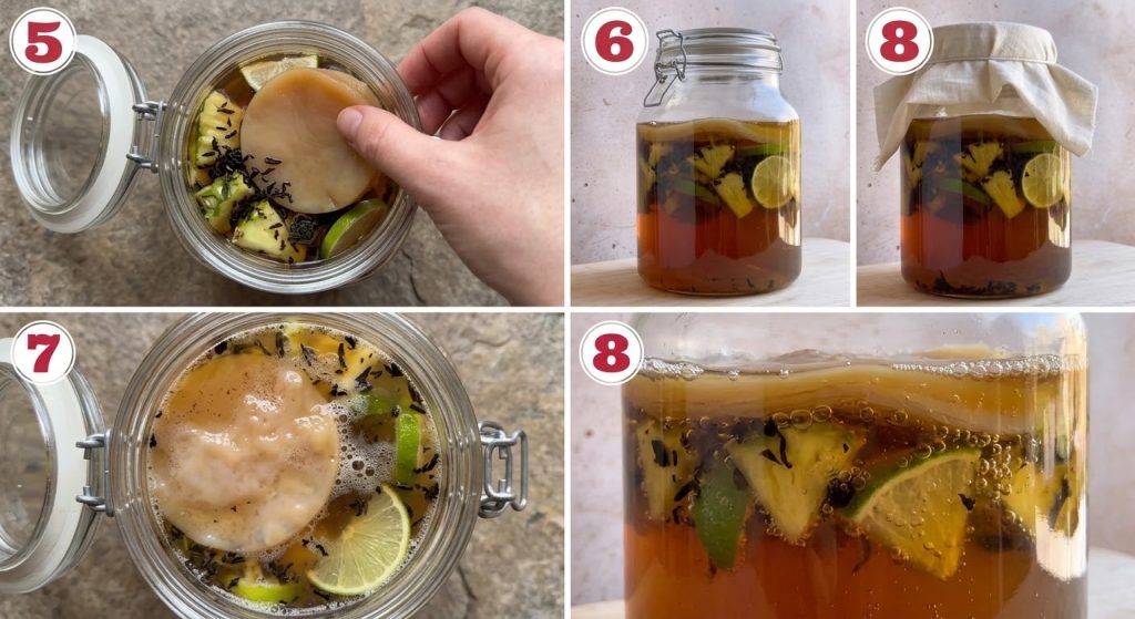 Le Secret Minceur et Vitalité Qui Fait Trembler La France : Kombucha Maison !